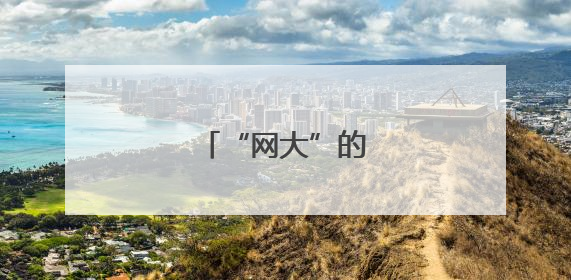 “网大”的困局与破局